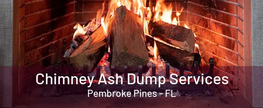 Chimney Ash Dump Services Pembroke Pines - FL