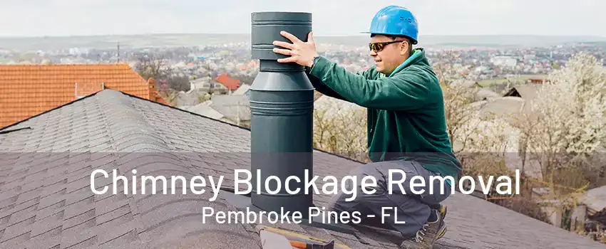 Chimney Blockage Removal Pembroke Pines - FL