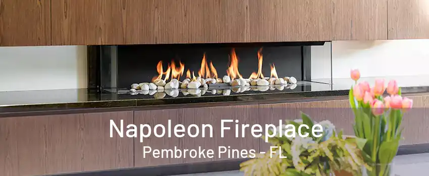 Napoleon Fireplace Pembroke Pines - FL